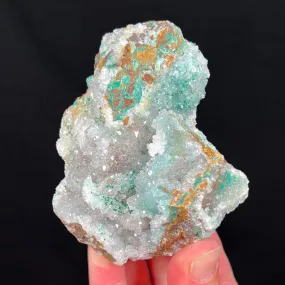 Chrysocolla with Quartz and Atacamite