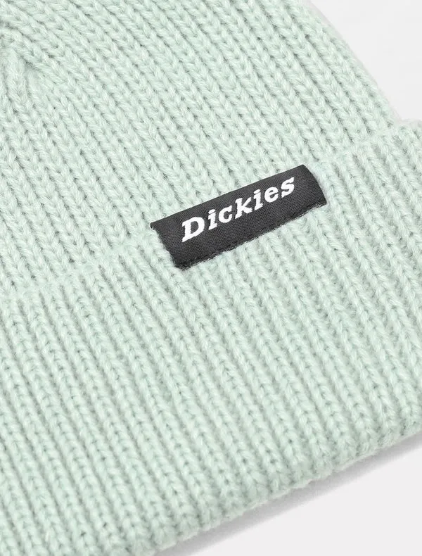 Dickies Woodworth Beanie - Jadeite