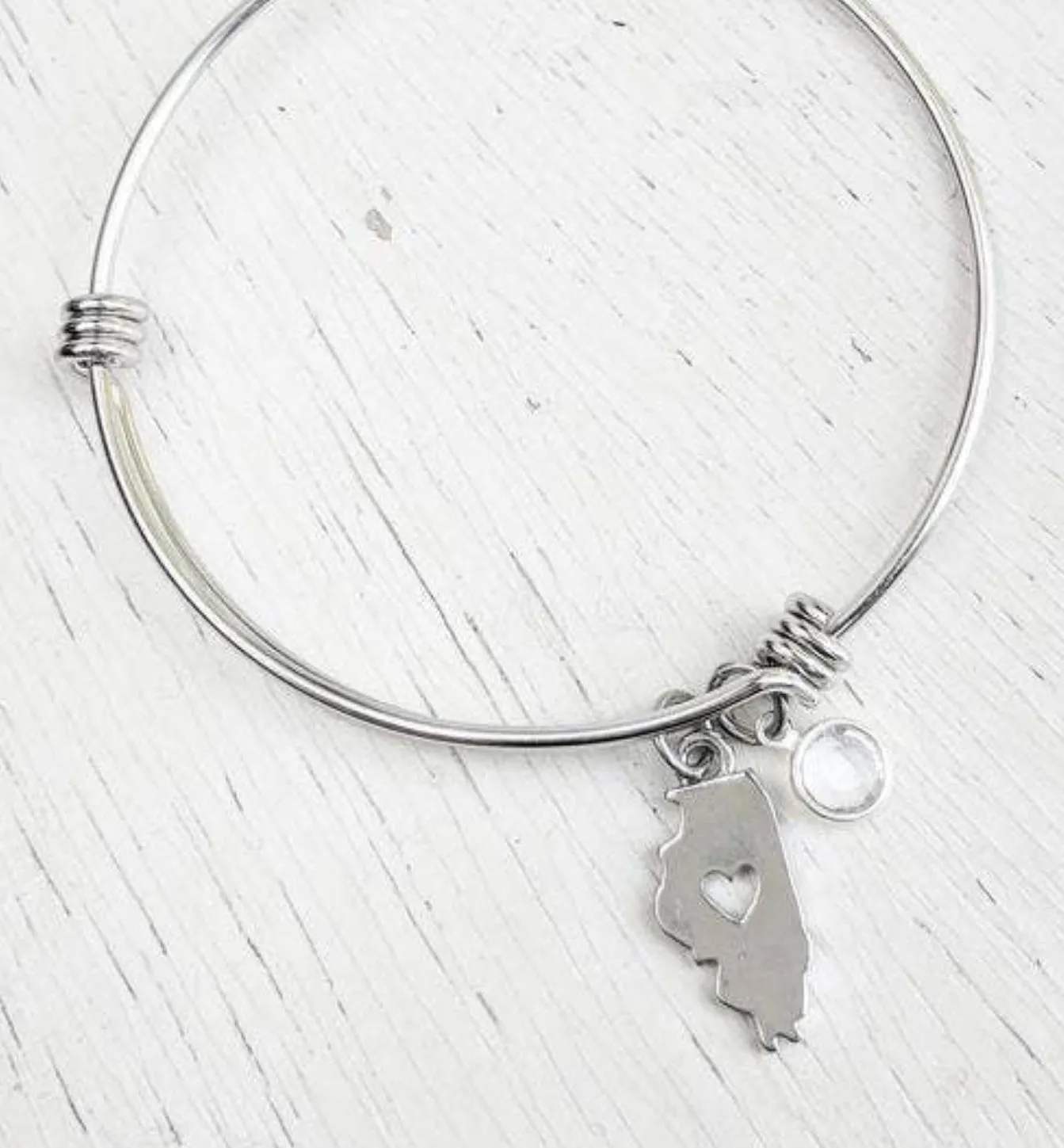 Jenna Scrifes Stainless Steel Illinois Charm/ Swarovski Crystal Bangle