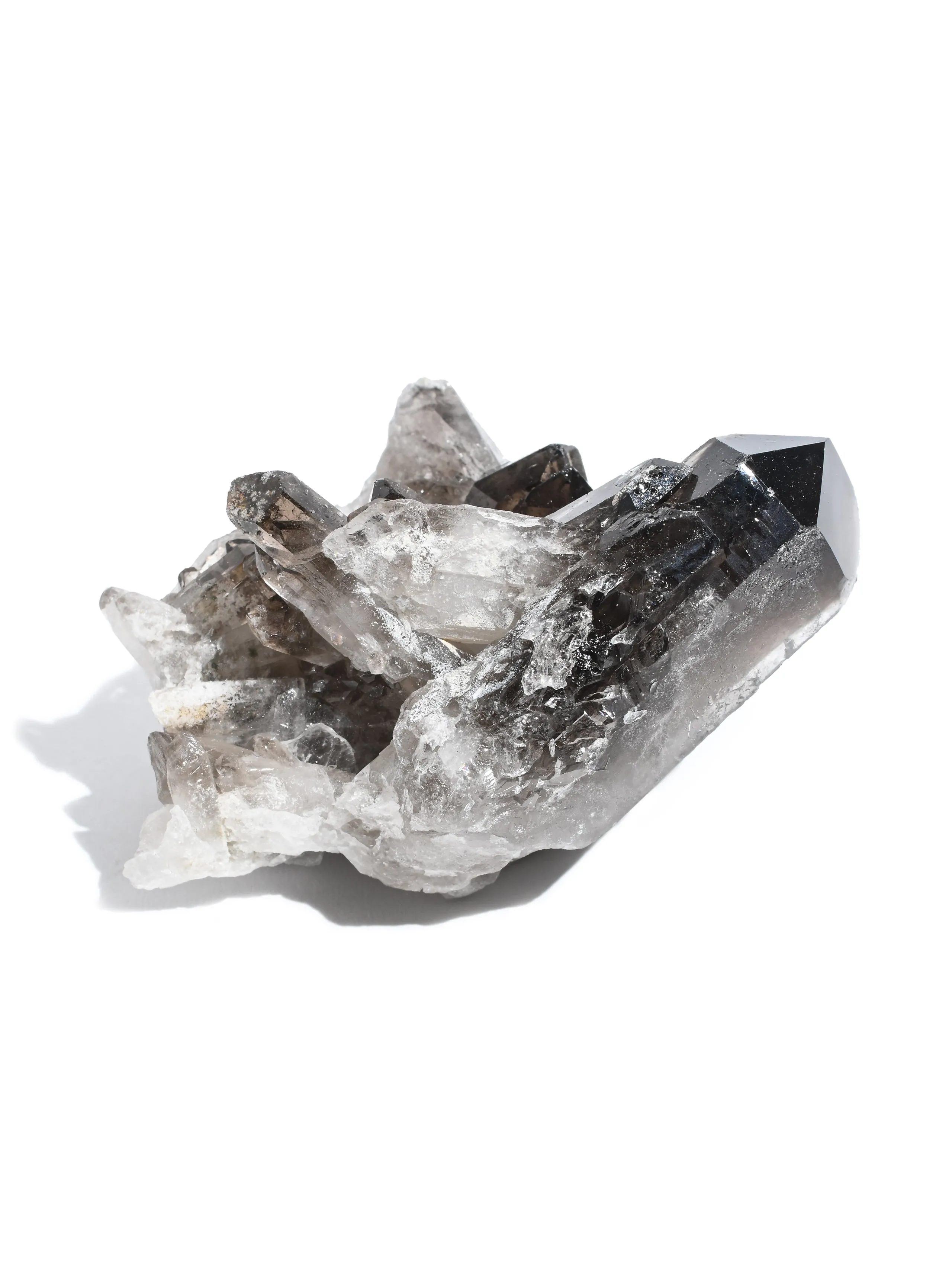 Smoky Quartz Cluster