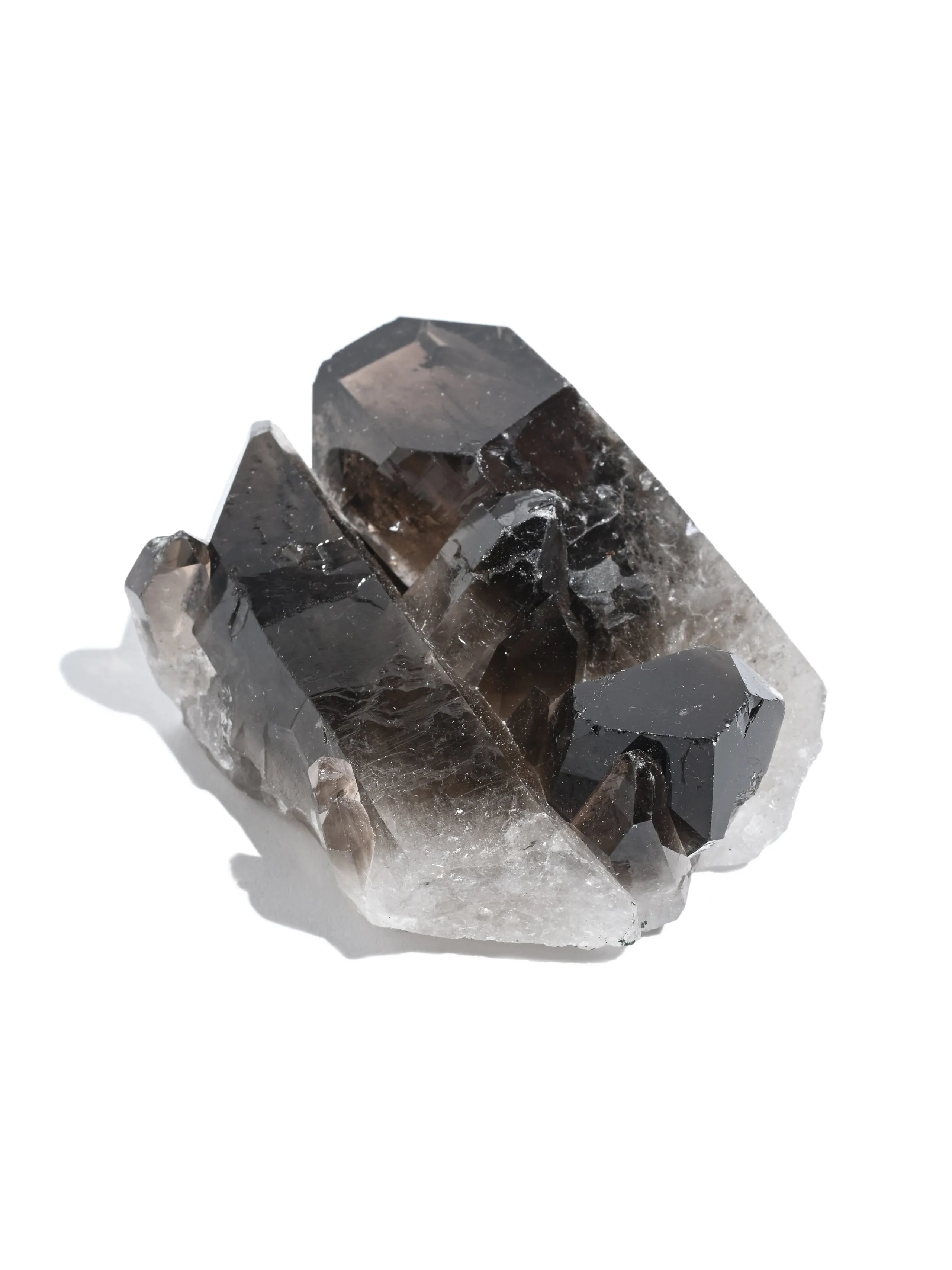 Smoky Quartz Cluster